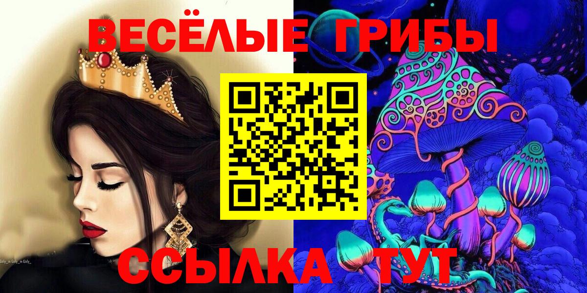 Псилоцибиновые грибы GOLDEN TEACHER Ахтубинск