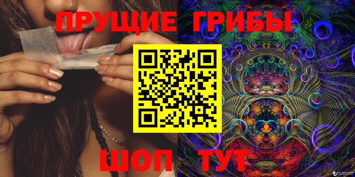 Галлюциногенные грибы Psilocybe  Вход с VPN  Ахтубинск 